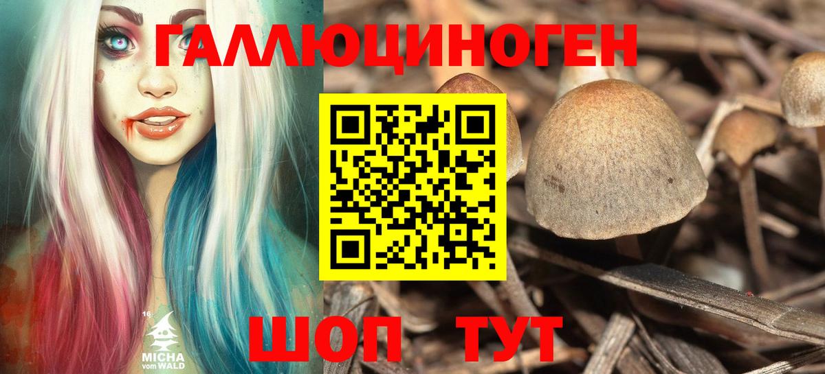 Тихорецк  Галлюциногенные грибы ЛСД  Вход с VPN 